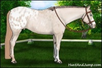 Horse Color:Smoky Black Snowdrop Blanket 