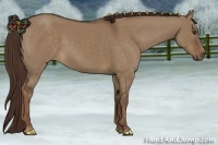 Horse Color:Liver Red Dun 