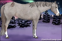 Horse Color:Liver Chestnut Sabino Splash Varnish 