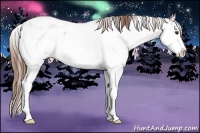 Horse Color:Chestnut Sabino