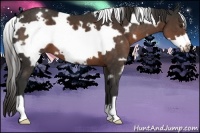 Horse Color:White Spotted Liver Chestnut Frame 