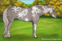 Horse Color:Silver Black Ice 