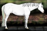 Horse Color:Plaid  Buckskin Ice Sabino Splash Tobiano Appaloosa 