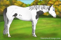 Horse Color:Smoky Black Sabino Splash Tobiano 