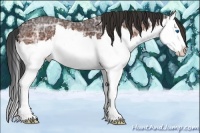 Horse Color:Bay Ice Sabino Splash