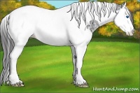 Horse Color:Black Ice Splash Tobiano Varnish 