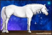 Horse Color:Watercolor Silver Buckskin Onyx Sabino Splash 