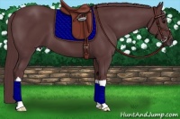 Horse Color:Chocolate Black 