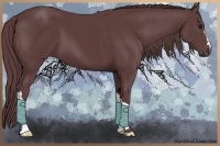 Horse Color:Chocolate Smoky Black 