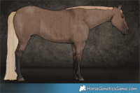 Horse Color:Liver Red Dun Brindle 