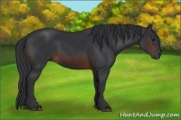 Horse Color:Brown 