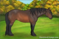 Horse Color:Brown Rabicano 