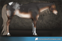 Horse Color:Liver Chestnut Tobiano 