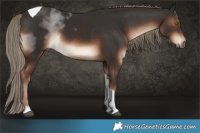 Horse Color:Liver Chestnut Tobiano 