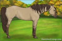 Horse Color:Liver Red Dun 