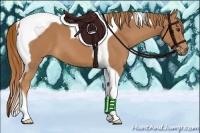 Horse Color:Chestnut Tobiano