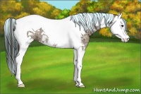 Horse Color:Painted Liver Red Dun Ice Splash Tobiano 