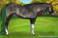 Horse Color:Painted Blue Onyx Ice Tobiano Rabicano 