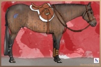 Horse Color:Silver Black  and Bay Sabino 