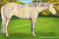 Horse Color:Nacre Palomino Dun Splash and Nacre Palomino