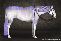 Horse Color:Watercolor Plaid  Liver Red Onyx Splash Rabicano 