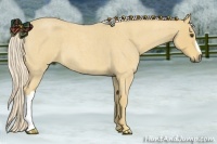 Horse Color:Palomino Roan 