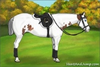 Horse Color:White Spotted Bay Splash Tobiano