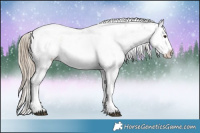 Horse Color:Liver Red Onyx Sabino Rabicano 