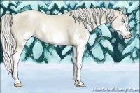 Horse Color:Chocolate Palomino Pearl Splash