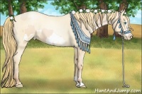 Horse Color:Buckskin Roan Pearl  and Buckskin Roan Pearl Frame 