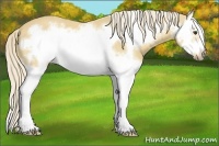 Horse Color:Palomino Splash Frame 