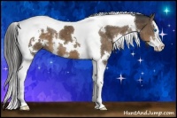 Horse Color:White Spotted Liver Chestnut Splash Tobiano