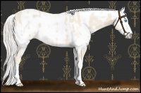 Horse Color:Cremello Sabino  and Cremello Sabino 
