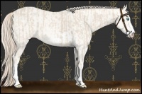 Horse Color:Smoky Creme Sabino  and Smoky Creme Sabino 