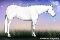 Horse Color:Gray Smoky Creme Roan Dun Appaloosa 