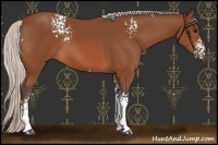 Horse Color:White Spotted Silver Bay 