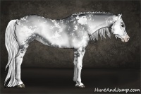 Horse Color:Silver Blue Onyx Chinchilla Sabino