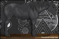 Horse Color:Black 