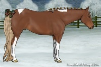 Horse Color:Chestnut Tobiano