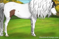 Horse Color:Bay Splash Tobiano Rabicano