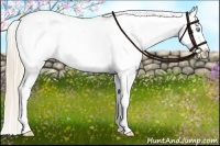 Horse Color:Perlino Snowcap