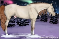 Horse Color:Buckskin Pearl Dun
