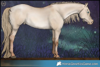 Horse Color:Liver Red Dun Pearl