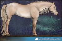 Horse Color:Liver Red Dun Pearl 