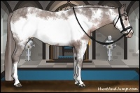 Horse Color:White Spotted Liver Chestnut Frame Appaloosa Rabicano