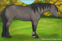 Horse Color:Black Sabino