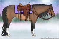 Horse Color:Buckskin Rabicano