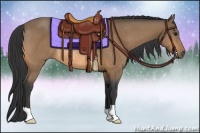 Horse Color:Buckskin Rabicano