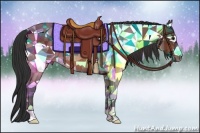 Horse Color:Bay Rabicano