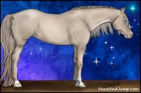 Horse Color:Chocolate Palomino Pearl Sabino